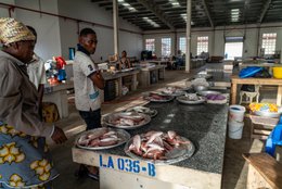 Accra;-Ghana;-Jamestown;-fish-market;-hall;-large-fish;-sea-bream;-red-snapper;-sparse-catch;-stalls;-granite;-new-harbour;-Sino-Ghanaian-cooperation;-artisanal-fishing;-Gulf-of-Guinea;-economy;-West-Africa;-historic-district;-documentary-photography;-Kaleidos;-Kaleidos-images;-La-parole-à-limage;-Stories-Pictures;-Tarek-Charara